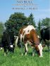 No Bull: A Collection of Short Stories by Marshall J. Pierce