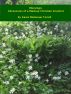 Blessings: Adventures of a Madcap Christian Scientist by Karen Molenaar Terrell