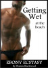 Getting Wet at the Beach by Wanda Blackwood