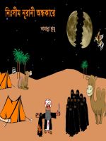 Cover for 'নিঃসীম নূরানী অন্ধকারে'