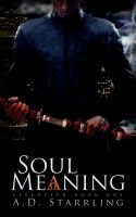 Cover for 'Soul Meaning: Seventeen Book One'