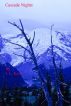Cascade Nights by JL Kaye