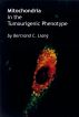 Mitochondria in the Tumourigenic Phenotype by Bertrand Liang