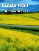 Cover for 'Amber Waves'