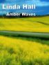 Amber Waves by Linda Hall