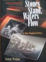Cover for 'Stones Stand, Waters Flow'