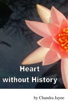 Cover for 'Heart without History'