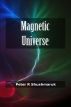 Magnetic Universe by Peter Shushmaruk