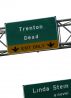 Trenton Dead by Linda Stein
