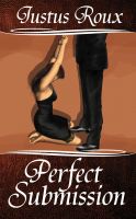 Cover for 'Perfect Submission'