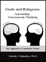 Cover for 'Astounding Oxymoronic Fantasies: Gods and Religions.  An Appeal to Common Sense.'