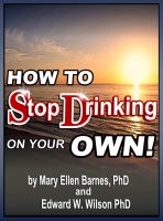 Cover for 'How To Stop Drinking On Your Own'