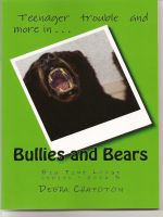 Cover for 'Bullies and Bears'