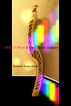 I Wish I Were A Soul Train Dancer by Howard Feigenbaum