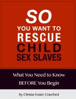 Cover for 'So You Want to Rescue Child Sex Slaves? What You Need to Know Before You Begin'