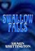 Swallow Falls by Shaun Whittington