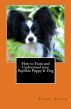 How to Train and Understand your Papillon Puppy & Dog by Vince Stead
