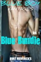 Cover for 'BLUE BOY FANTASIES ~ Blue Bundle Vol. 1'