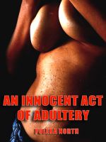 Cover for 'An Innocent Act of Adultery'