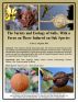 The Variety and Ecology of Galls, With a Focus on Those Induced on Oak Species by Eric J. Guignard