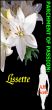 Parchment Of Passion: Lissette by A.H.  Scott