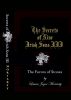 The Secrets of Nine Irish Sons - The Forces of Stones by Laura Joyce Moriarty