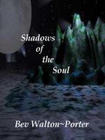 Cover for 'Shadows of the Soul'