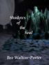 Shadows of the Soul by Bev Walton-Porter