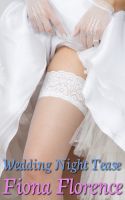 Cover for 'Wedding Night Tease'