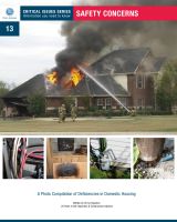 Cover for 'Safety Concerns - book # 13 Critical Issues Series'