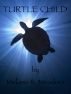 Turtle Child by Melanie R. Meadors