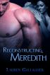Reconstructing Meredith by Lauren Gallagher