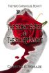 The Hero Chronicles, Book 4: The Secret Sister and the Silver Knight by Christine E Schulze
