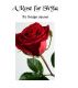 A Rose for Shyla by Bridget Squires