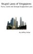 Stupid Laws of Singapore: Funny, Dumb and Strange Singaporean Laws by Jeffrey Fisher