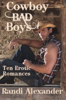 Cover for 'Cowboy Bad Boys'