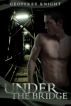 Under The Bridge by Geoffrey Knight