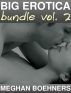 Big Erotica Bundle vol. 2 (9 Stories of BDSM and more) by Meghan Boehners