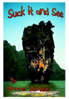 Cover for 'Suck it and See'