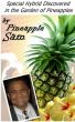 Special Hybrid Discovered in the Garden of Pineapples by Pineapple Sam