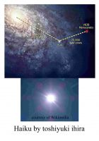 Cover for 'Haiku by Toshiyuki Ihira'