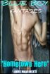 BLUE BOY FANTASIES Vol. 1 ~ Hometown Hero ~ by Burt Maverick