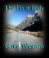 The Fix It Lady by Gary Weston