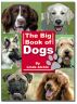 The Big Book of Dogs by Linda Alchin