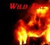 Wild Fire by Monica P