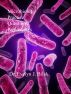 Microbiology Practice Questions: Prokaryotes by Dr. Evelyn J Biluk
