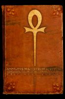 Cover for 'Annwn's Maelstrom Festival: Concluding Volume of the Vampire Noctuaries'