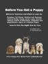 Before You Get a Puppy by Louise Louis