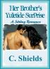 Her Brother's Yuletide Surprise by Catharina Shields