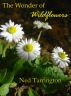 The Wonder of Wildflowers by Ned Tarrington